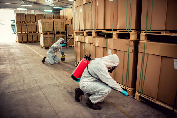 Pest Control Cost in Ogden, IA