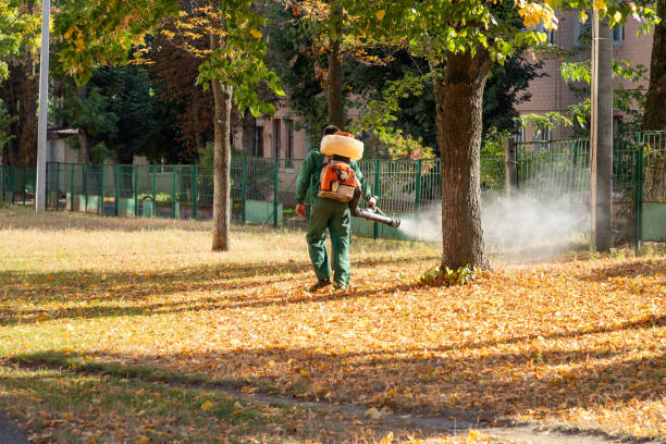 Best Residential Pest Control  in Ogden, IA