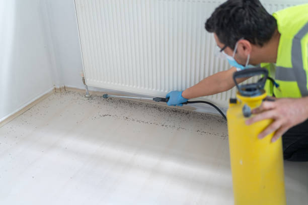 Best Pest Control for Homes  in Ogden, IA