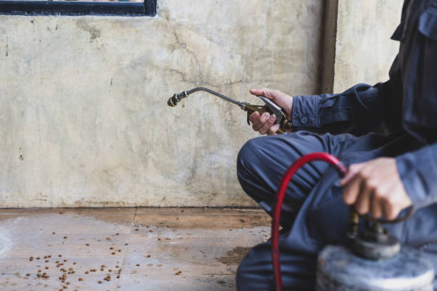 Best Residential Pest Control  in Ogden, IA