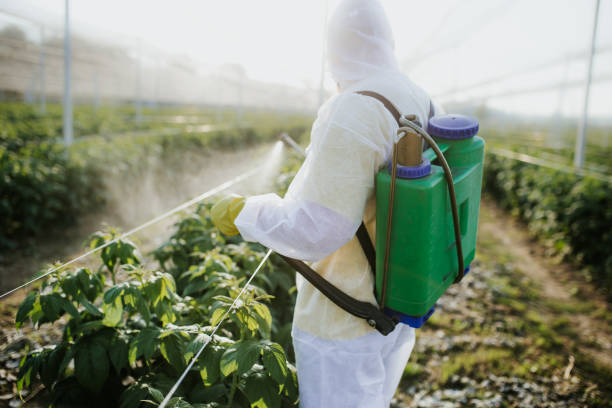 Best Commercial Pest Control Services  in Ogden, IA